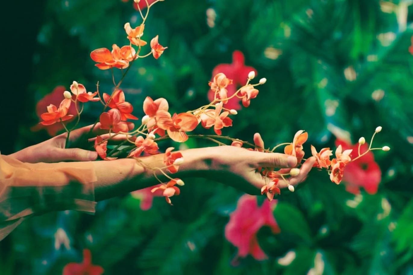 Light Rituals for Stress Reduction That Remodel Your Day with Presence