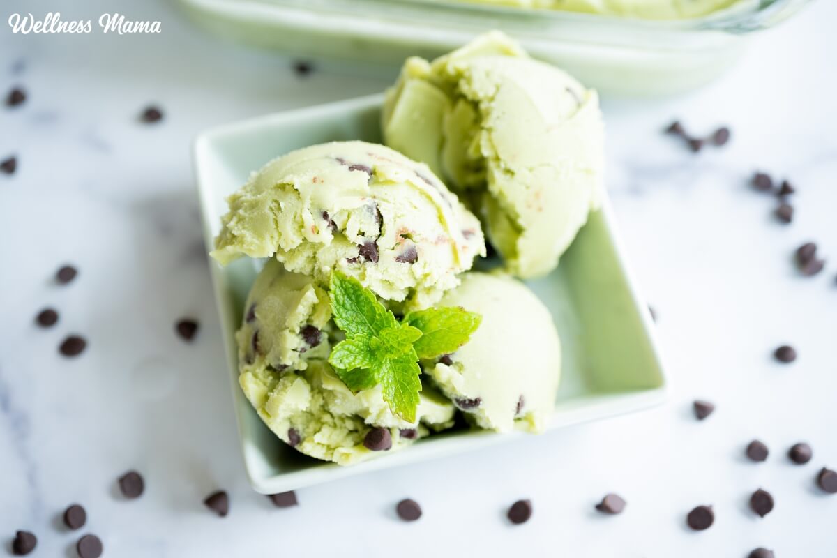Home made Mint Chocolate Chip Ice Cream Recipe (Dairy Free & Paleo)