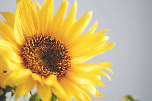 Brief, Optimistic and Humorous Sayings