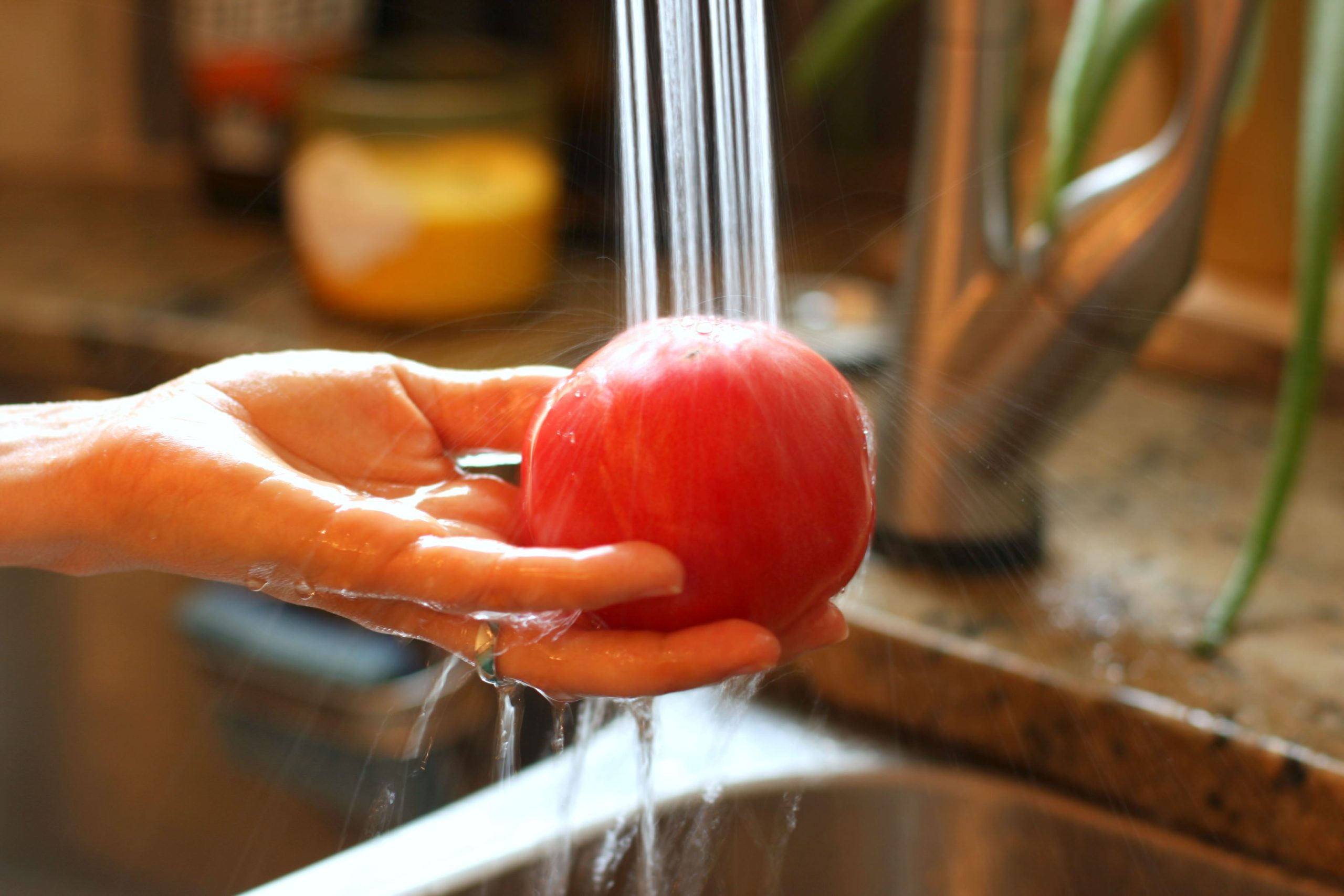 Summer season Meal Prep Concepts – A Wholesome Slice of Life